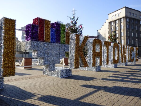 Szkolenie "Akademia skutecznego ekspandera" - Katowice - obrazek 5