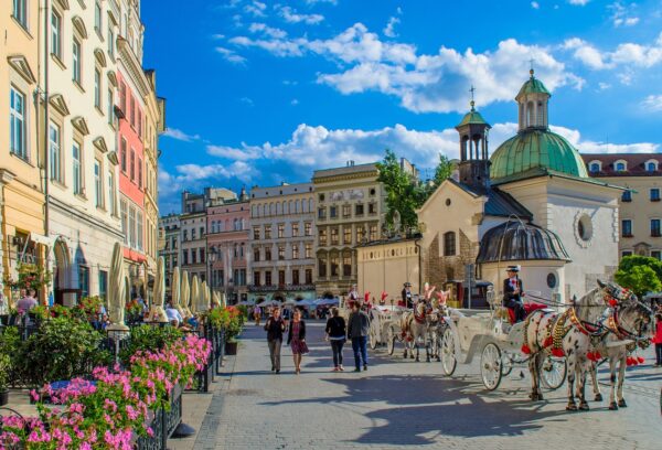 Szkolenie "Akademia skutecznego ekspandera" - Kraków - obrazek 5